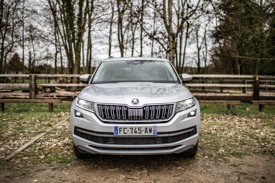  Skoda Kodiaq Laurin & Klement 4x4 2018 года  (WW) (фото 26 из 40)